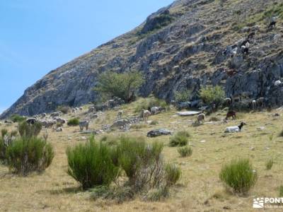 Montes Aquilianos - Valle del Silencio; pasarelas rio mao buitrago del lozoya castillo de sigüenza c